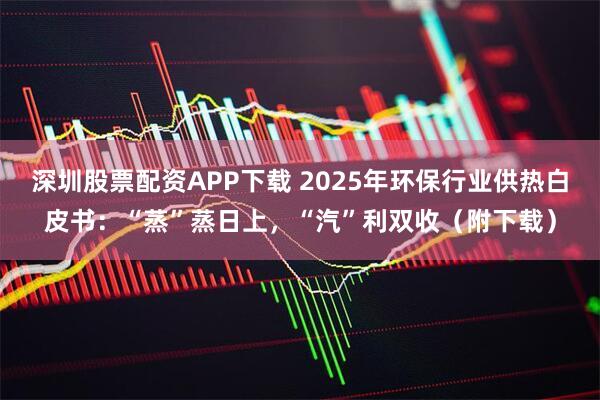 深圳股票配資APP下載 2025年環(huán)保行業(yè)供熱白皮書：“蒸”蒸日上，“汽”利雙收（附下載）
