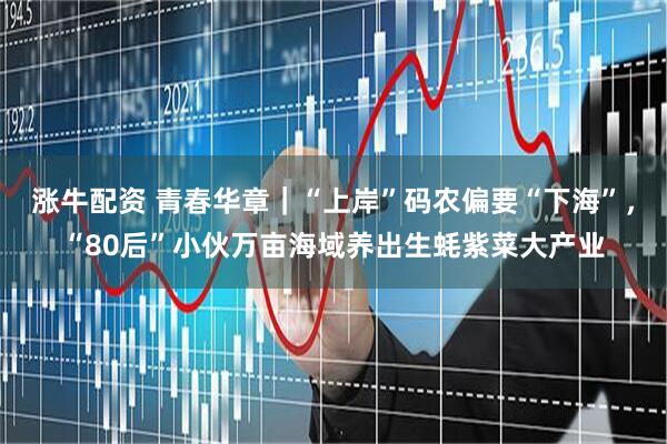 漲牛配資 青春華章｜“上岸”碼農偏要“下?！?，“80后”小伙萬畝海域養出生蠔紫菜大產業